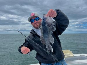 Striped Bass, Bluefish, Fluke & Tuna Biting Strong from Canal to Offshore