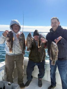 Steady Tog Action with Black Hole Challenger Rods
