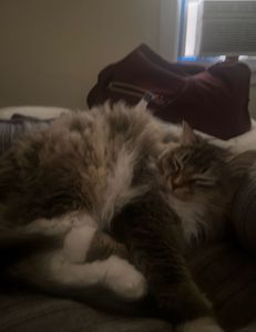 Fishing trip for independence day