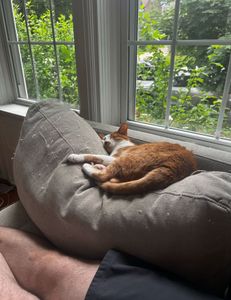 Sunrise Fishing in Buffalo