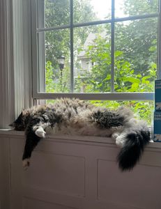 Amazing birthday trip