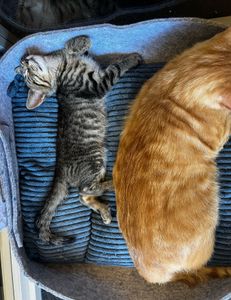 Mid Week Fishing Trip