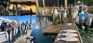 Winchester Bay fishing trips for salmon, halibut, and more