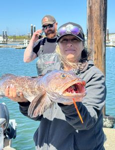 Lingcod, Rockfish, and crabbing