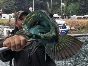 Winchester Bay deep sea catch for seafood lovers