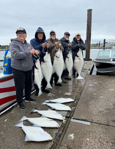 Halibut fishing out of Winchester Bay Oregon was great limits for all five clients 