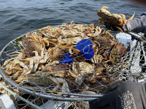 Combo Trips: Salmon + Crabbing Adventures