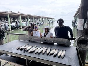 Fishing in West Bay