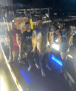 Grand Isle Fishing Report