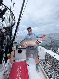 Big copper belly catch ready for your next trip