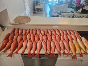 Loaded cooler on a strong four-hour trip