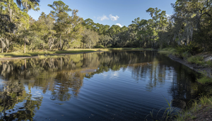 Things To Do In Panama City Beach