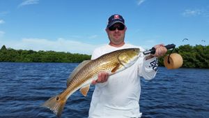 Current Conditions, Hot Spots & What’s Biting This Week in Homosassa