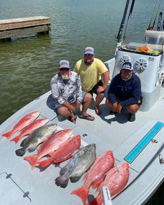 Inshore fishing For Tripletail and Red Snapper, LA