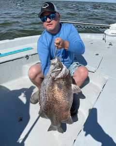 Offshore fishing charters For Triple Tail, LA