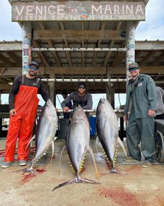 Venice Louisiana Tuna Fishing