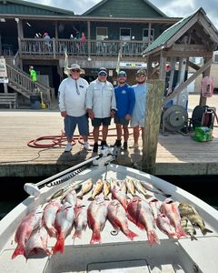 Grinding Through for Solid Snapper