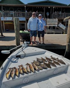 Windy Days. Full Coolers.