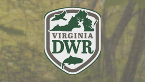 Virginia Fishing License