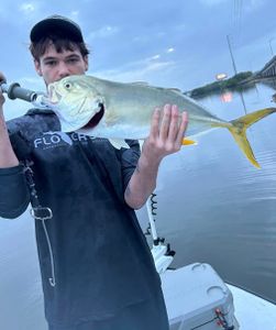 Redfish, Trout, and Sharks Showing Up Strong