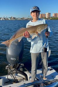 Redfish, Snook, and Sharks Keeping Lines Tight