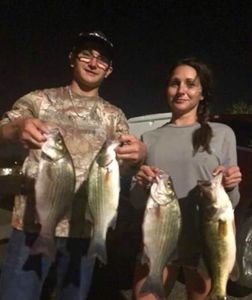 Striped and Largemouth Bass in Central Florida