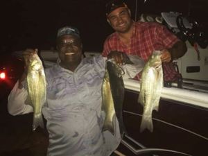 Leesburg Night Fishing in FL
