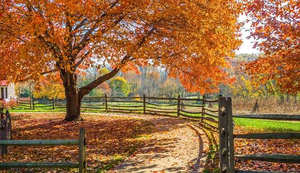 Things To Do in New Jersey