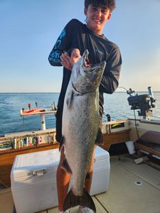 Three Weeks Strong on the Leaderboard