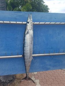 Trolling in Palm Beach, FL