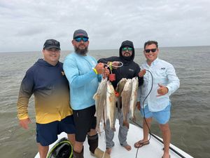 Recent Charter Highlights From the Past Few Weeks