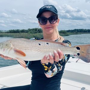 Mid day Redfish bite.
