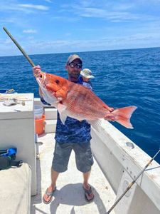 Red Snapper Fishing In Carrabelle, FL