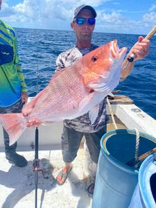 Florida's Top Snapper Fishing
