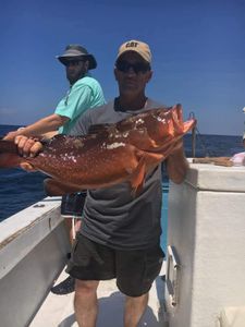 Red Grouper Fish From Dog Island, FL