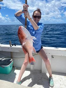 Caught My Favorite Deep Sea Fish, Snapper Season!