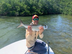 Nonstop Key Largo tarpon action in the backcountry