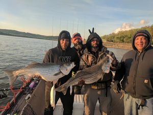 Bushwacker Guide Service Update – Trophy Stripers and Catfish