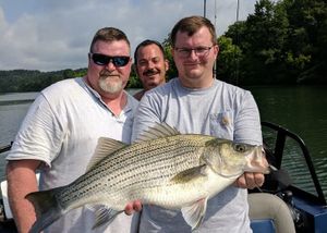 How to Get a Tennessee Fishing License for River Trips