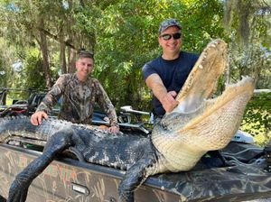 Alligator hunting in Florida