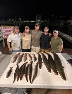 Top-Rated Lafitte Bowfishing: Perfect Evening for Beginners