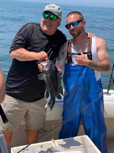 Fishing for Sea Bass In New Jersey