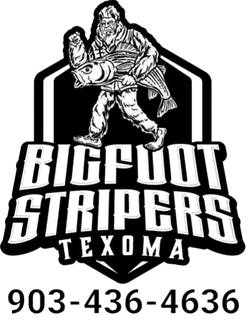 Bigfoot Stripers
