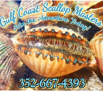 Gulf Coasts Scallop Masters