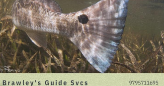 Brawley's Guide Services
