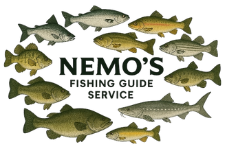 Nemo's Fishing Guide Service
