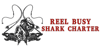 Reel Busy Shark Charters