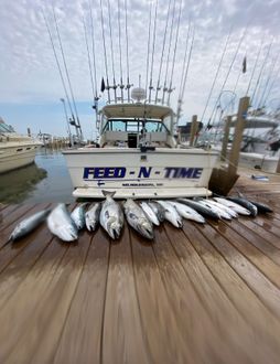 Feed-N-Time Charters