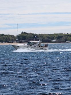 Feed-N-Time Charters