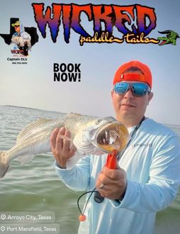 956 Salty Waders